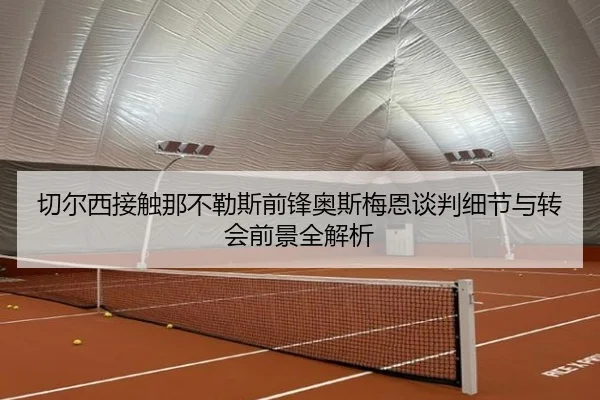 切尔西接触那不勒斯前锋奥斯梅恩谈判细节与转会前景全解析